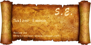 Salzer Emese névjegykártya